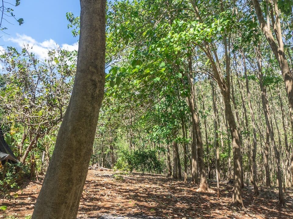 Exclusive Farm for Sale in San Pedro Nandayure, Costa Rica