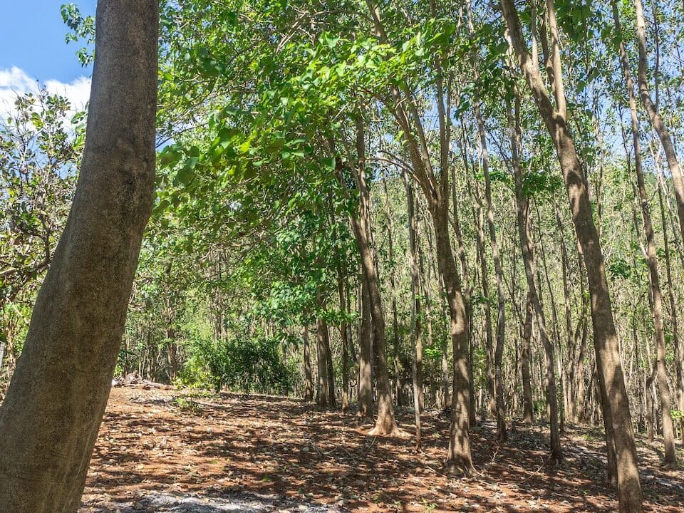 Exclusive Farm for Sale in San Pedro Nandayure, Costa Rica