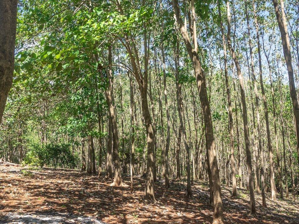 Exclusive Farm for Sale in San Pedro Nandayure, Costa Rica