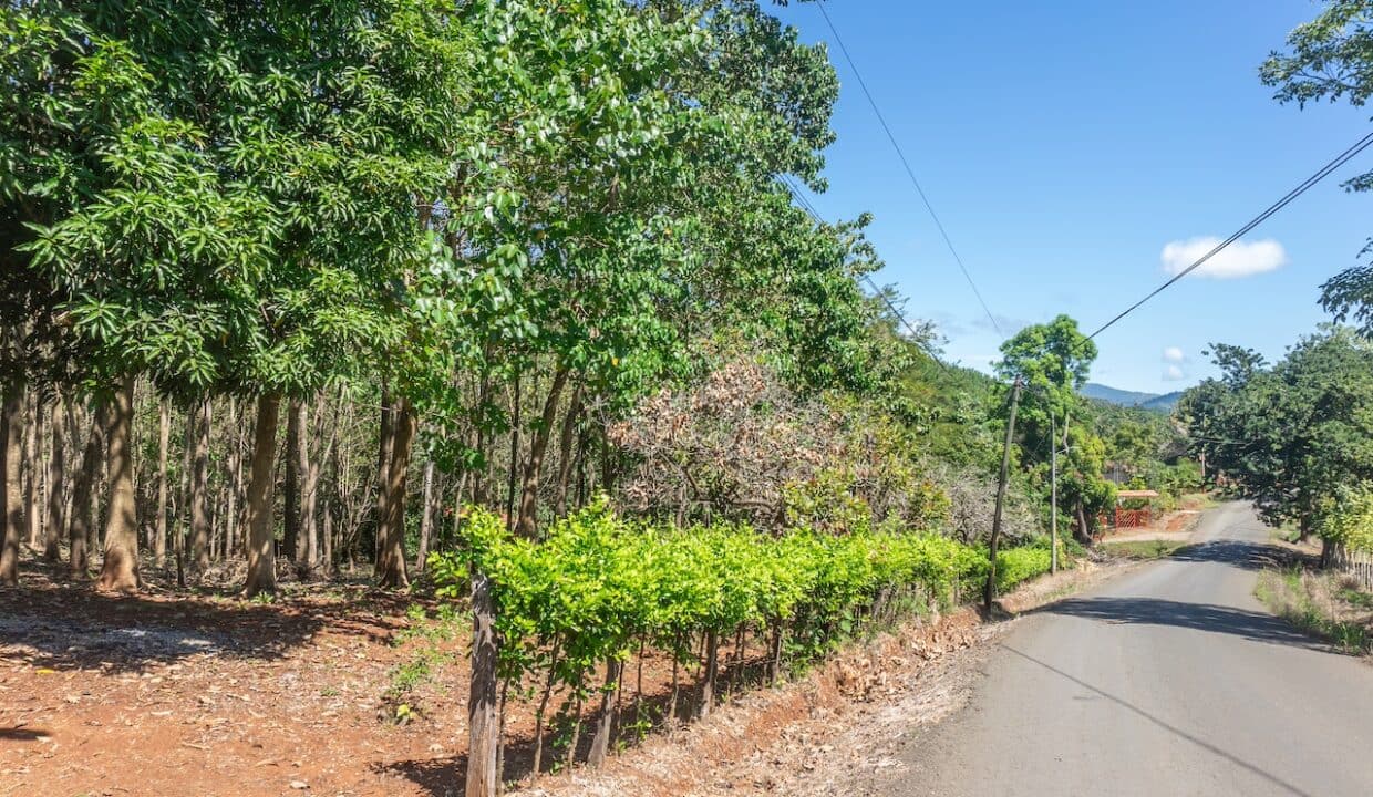 Exclusive Farm for Sale in San Pedro Nandayure, Costa Rica