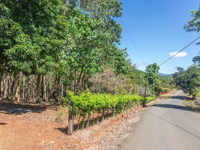 Farm in San Pedro, Guanacaste