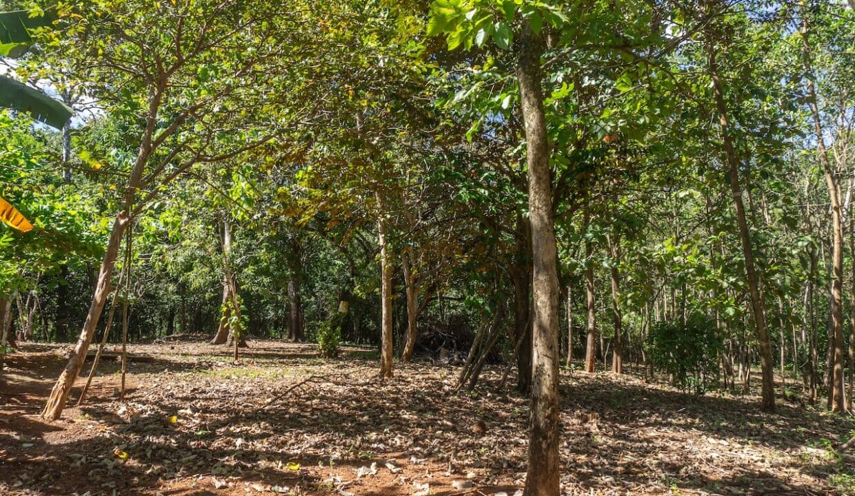 Exclusive Farm for Sale in San Pedro Nandayure, Costa Rica