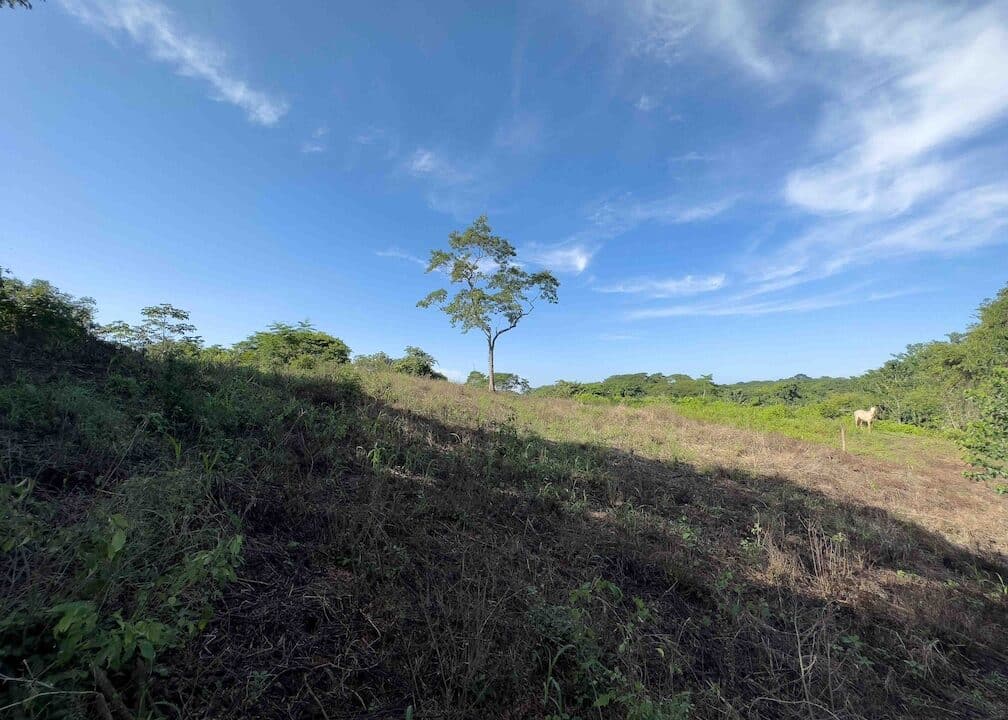 Samara Woods Lot