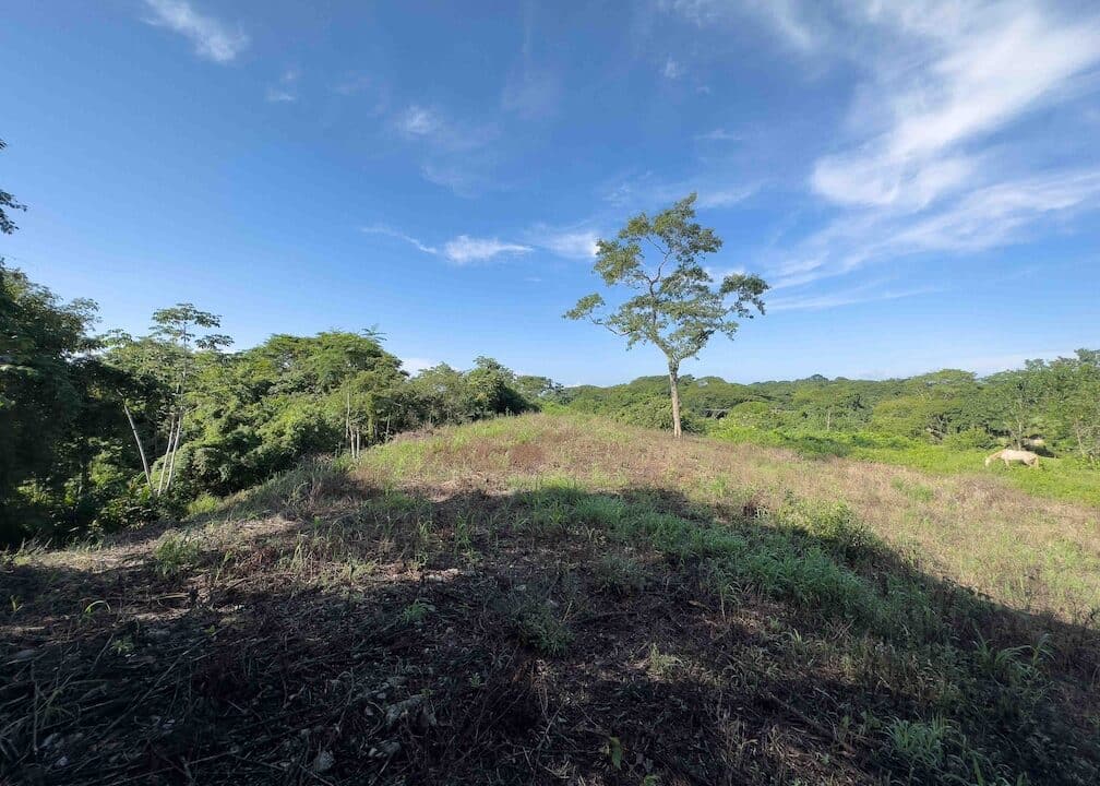 Samara Woods Lot