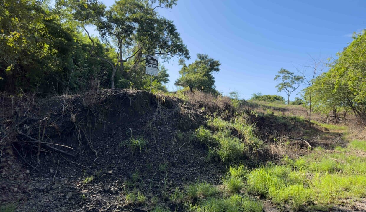 Samara Woods Lot