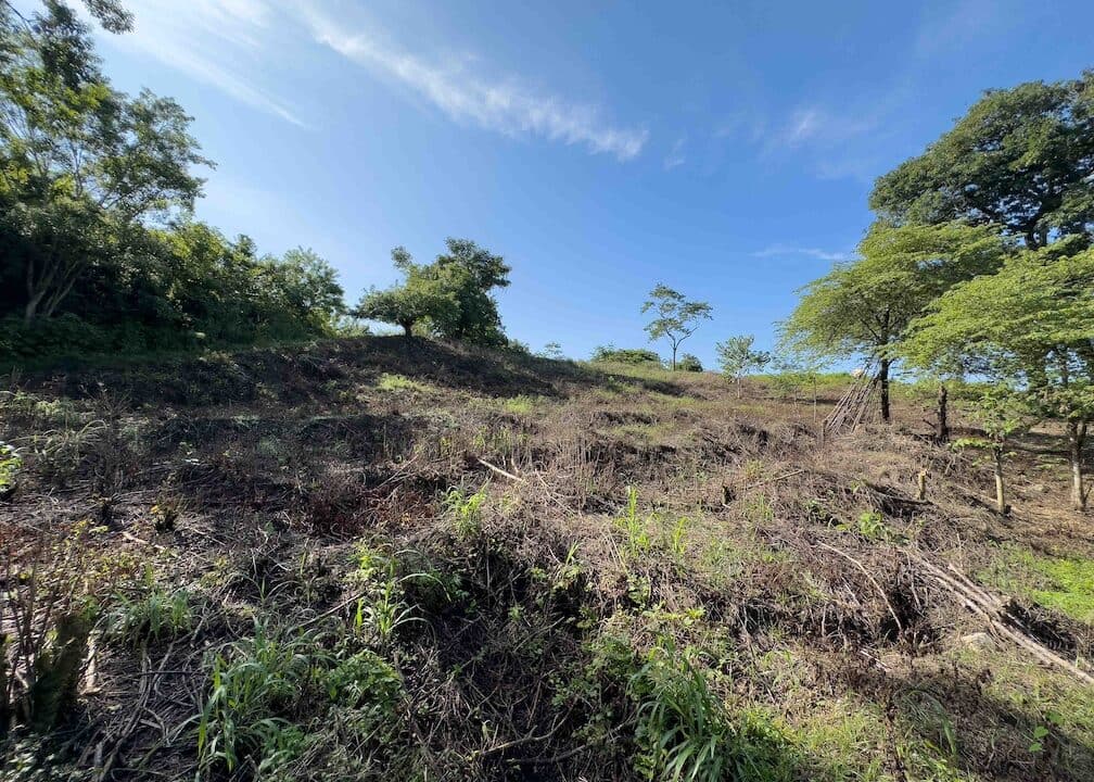 Samara Woods Lot