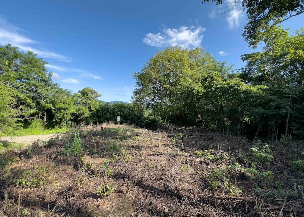 Samara Woods Lot