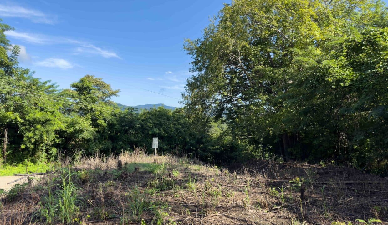 Samara Woods Lot