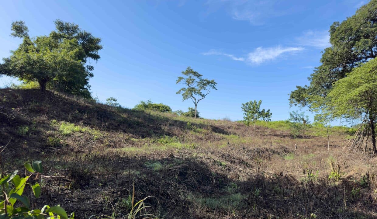Samara Woods Lot
