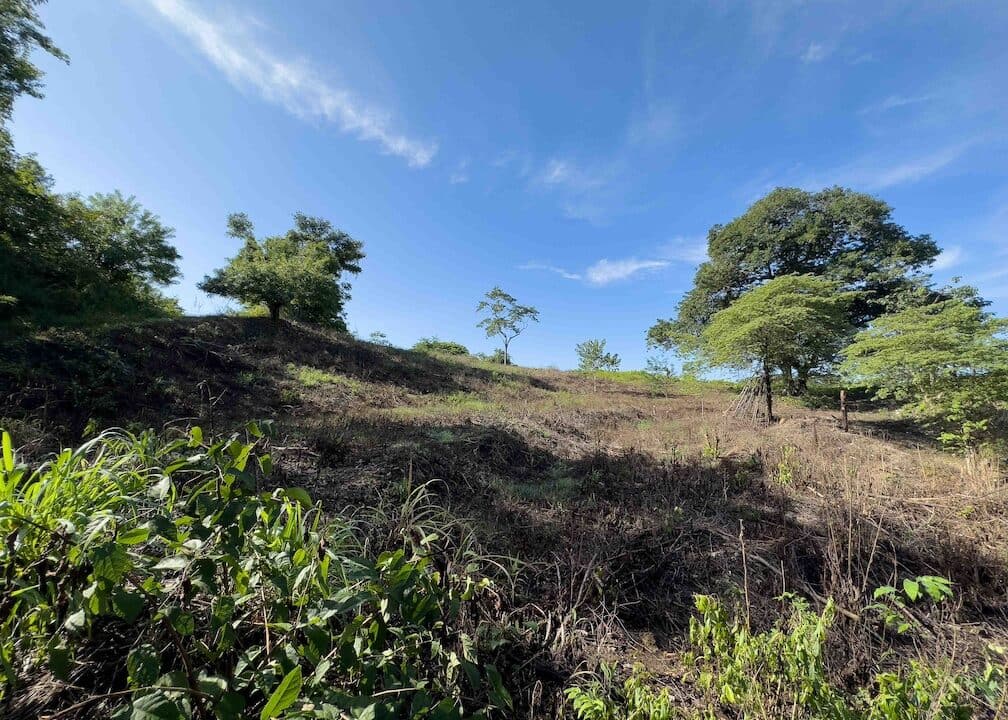 Samara Woods Lot