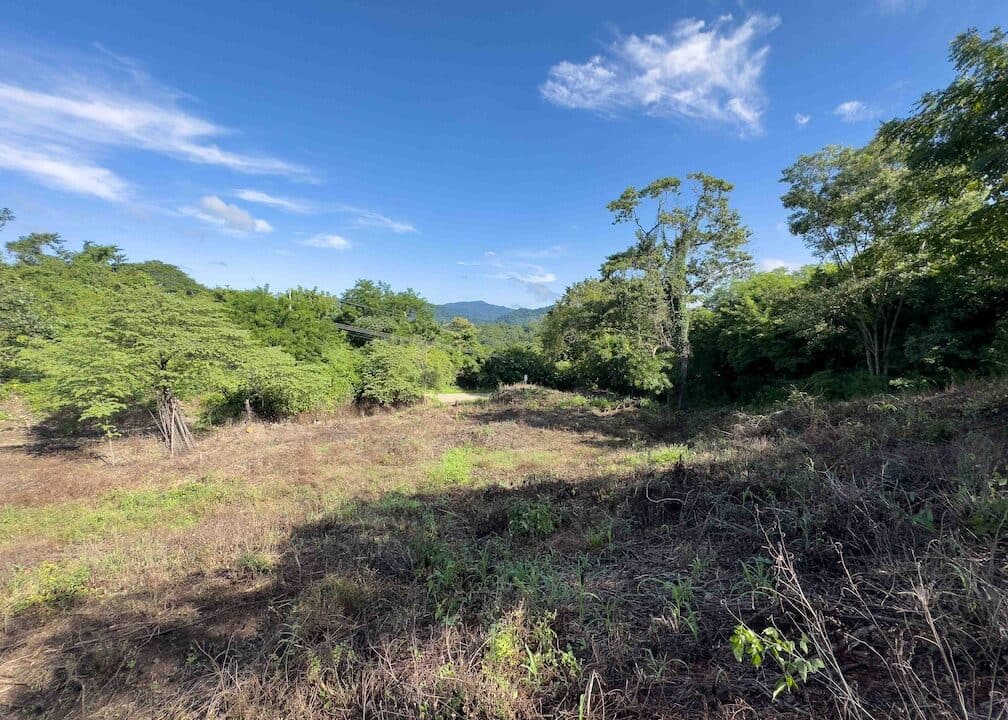 Samara Woods Lot