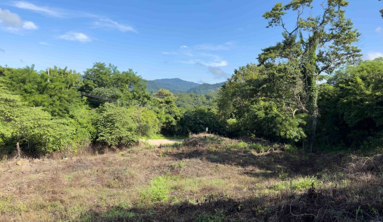 Samara Woods Lot