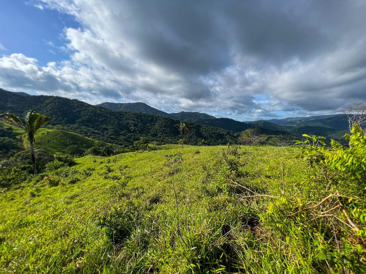 Ocean-View Farm near Carrillo, Guanacaste