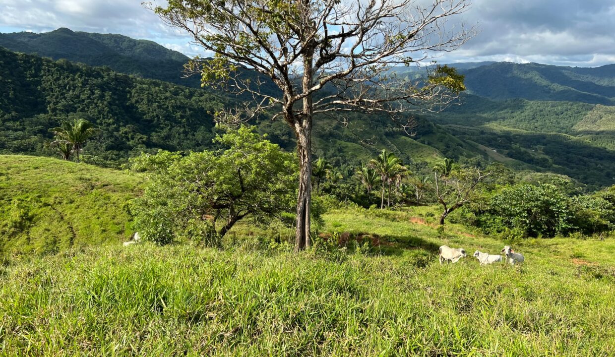 10-Hectare Farm with Ocean View near Playa Carrillo, Guanacaste