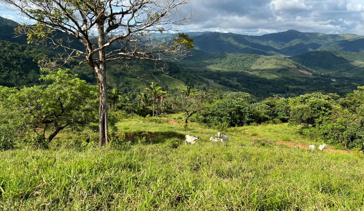 10-Hectare Farm with Ocean View near Playa Carrillo, Guanacaste