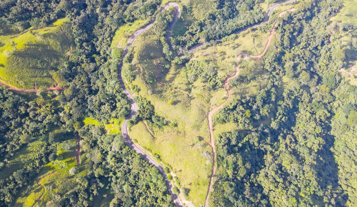 10-Hectare Farm with Ocean View near Playa Carrillo, Guanacaste