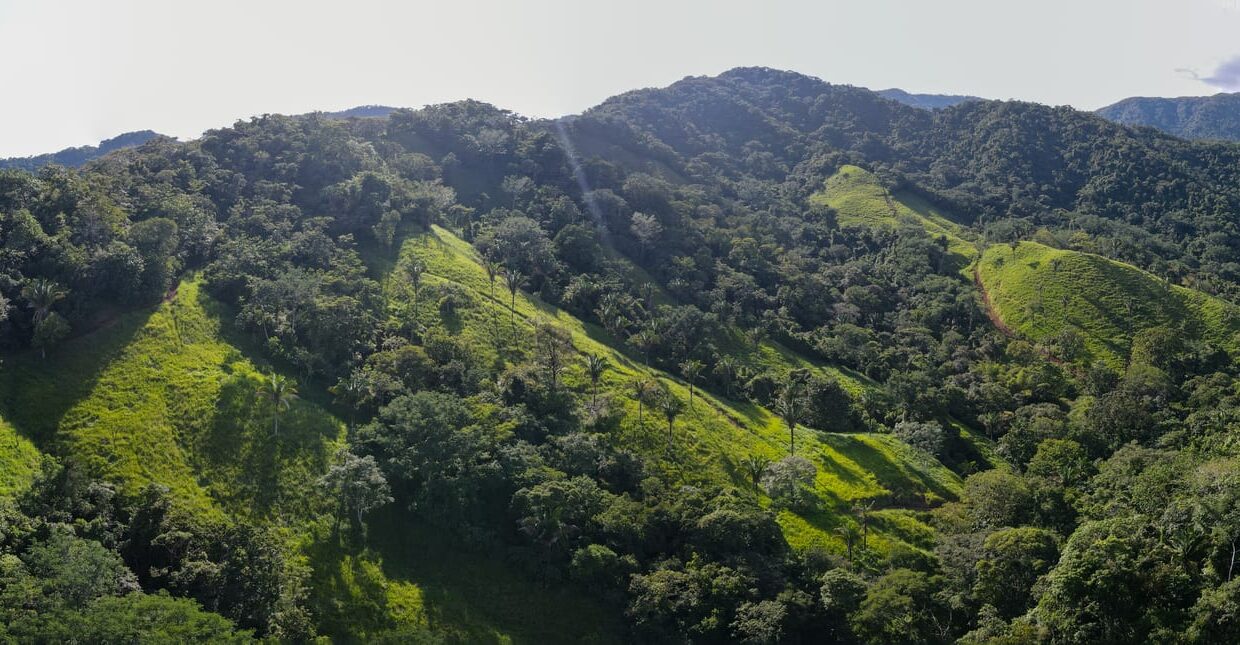 10-Hectare Farm with Ocean View near Playa Carrillo, Guanacaste