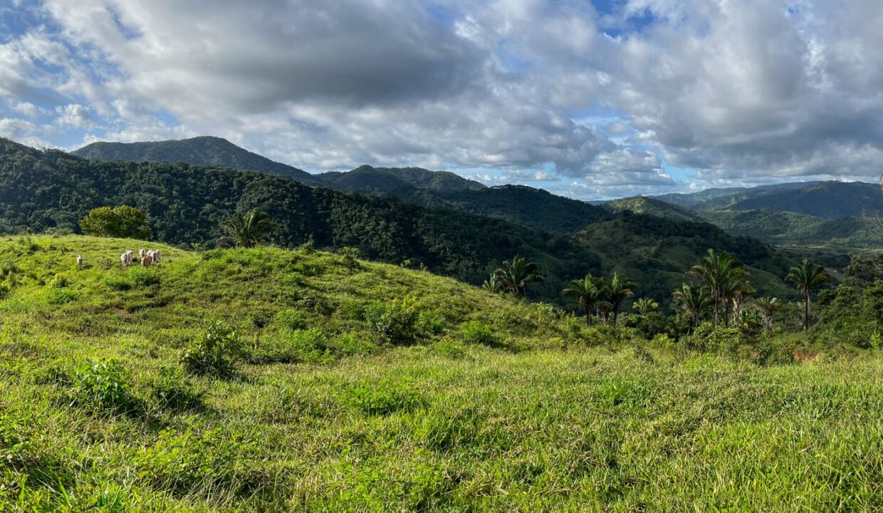 10-Hectare Farm with Ocean View near Playa Carrillo, Guanacaste