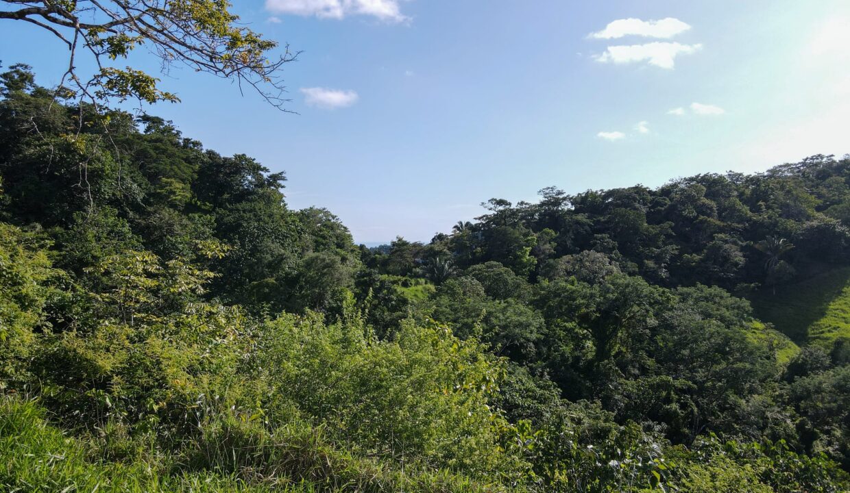 10-Hectare Farm with Ocean View near Playa Carrillo, Guanacaste